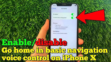 How to enable or disable go home in basic navigation voice control on iPhone X