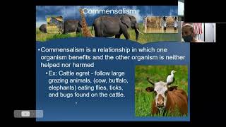 6/2/21 Biology Zoom -  Ecological Relationships