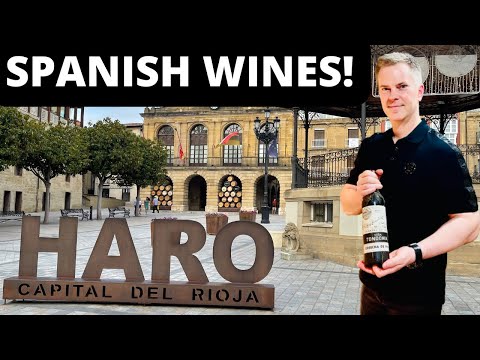 13 Top SPANISH WINES You Have To Try 