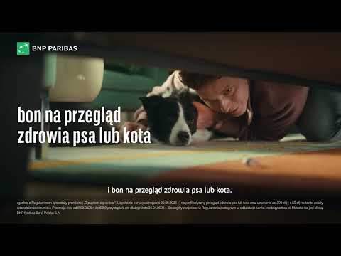 Karta Pupil – zniżki z myślą o Twoim czworonogu
