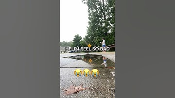 #alterhuman #therian #otherkin #cosplaycostume #wolftherian #foxtherian #wolf #mask #furry