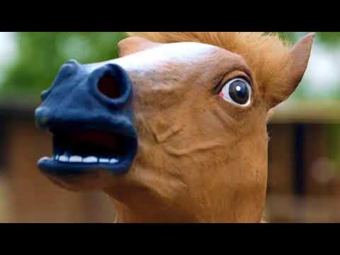 horse-panic-prank-calls-the-short-edit