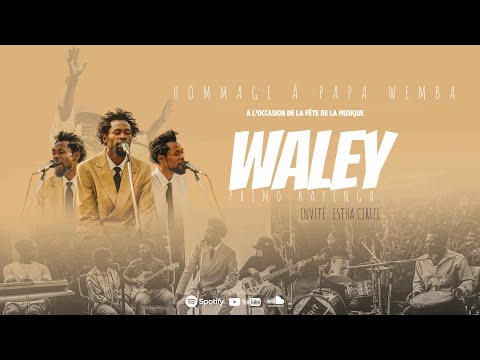Concert Hommage Papa WEMBA @PapaWembaOfficiel par WALEY @Waley_Primo_Kayenga Fête de la musique