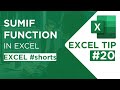 SUMIF Function in Excel - Excel Tip #20 - #shorts