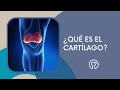 ¿Sirve el cartílago de tiburón para las articulaciones?