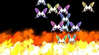 Particles to Fire&Butterflies Test[TouchDesigner]