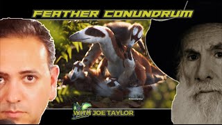 Feather Conundrum | Did Dinosaurs Really Have Feathers? Did Pterosaurs Really Have Feathers?