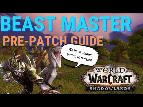 How to play Beast Master Hunter in the Shadowlands prepatch | A new button to press!