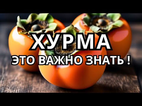 Хурма польза и вред хурмы. Чем полезна хурма? Можно ли хурму при сахарном диабете