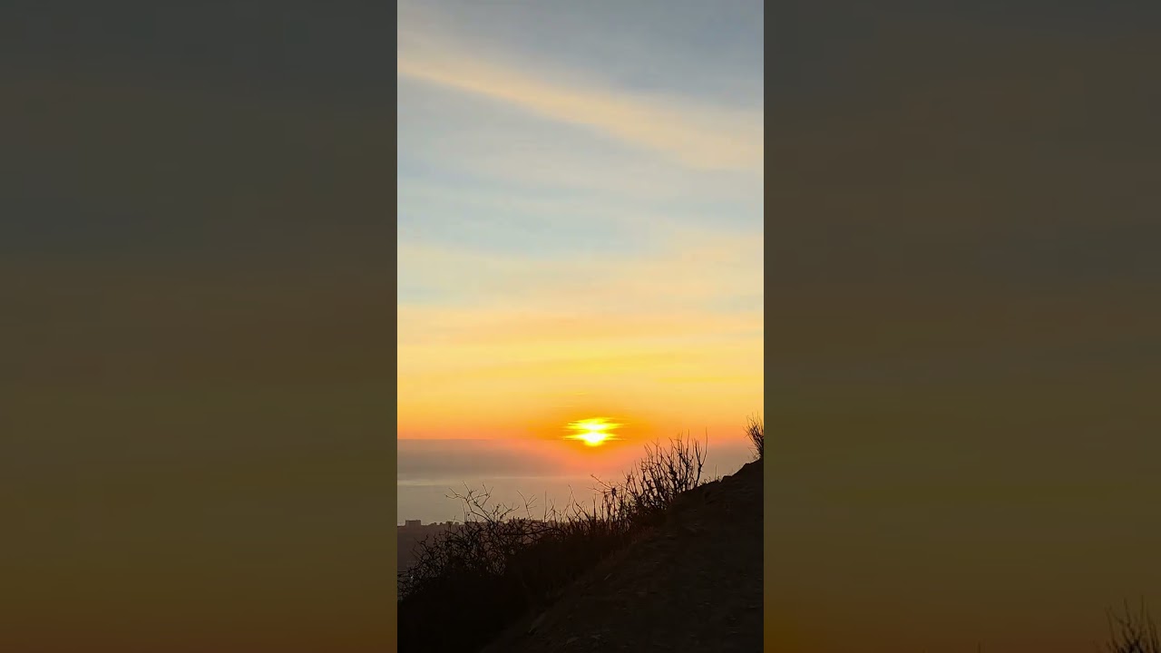Nuevo registro desde Coquimbo: El Mundo de Guacho comparte video actual