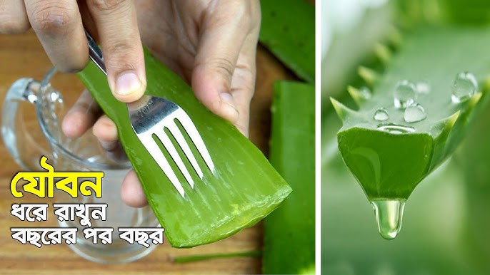 Gey ozaro kiyinish porno Biz poyezd kupesida sikishdik