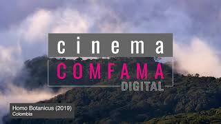 Descubre Cinema Comfama Digital