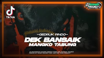 DJ DEK BANSAIK GAYENG GEDRUK PINDO BY SAMID PROJECT NEW STYLE 2024