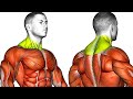 10 Transform Neck & Traps Exercises