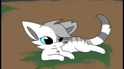 In The End .:Ivypool MAP:. part 2