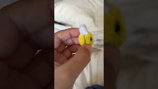 Pet bee called buzz buzz