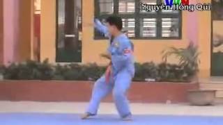 VoViNam- Việt Võ Đạo Quyền VoViNam- Việt Võ Đạo Quyền