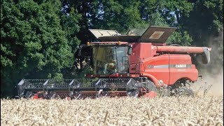 Case IH 7230 & 2388 Axial - Flow || Harvest 2022 / Žně 2022 ||