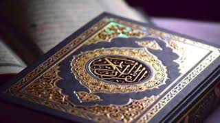 سورة الفلق عبدالله المطرود