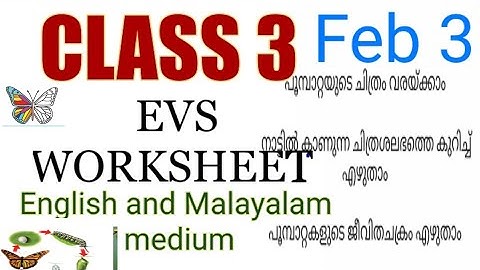 Class 3 Evs worksheet February 3|3 std evs|victers std 3 evs class|parisarapadanam