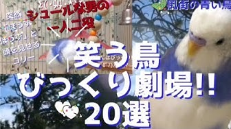 有り難き幸せ Youtube