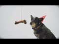 Middle of video