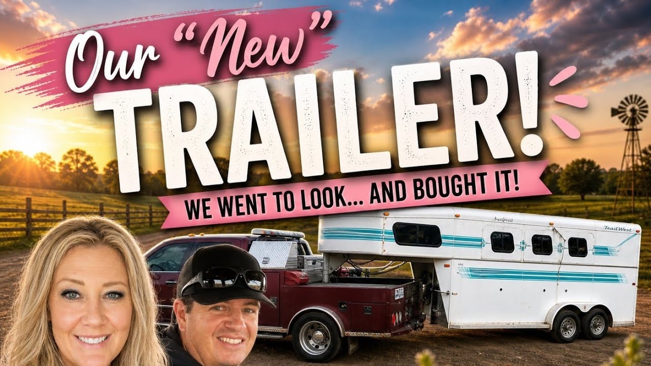 Our Tiny Trailer Wasn’t Cutting It… So We Did This - YouTube