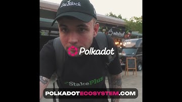 All the Polkadot Ecosystem in One Place