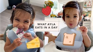 What My Toddler Eats in a Day! | Susan Yara