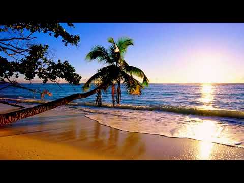 Orbital - Impact