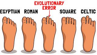 What Your Foot Shape Secretly Reveals About You
