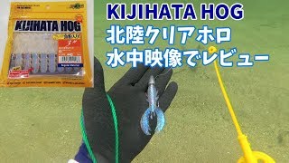 キジハタホッグ 北陸クリアホロ 水中だとこんな感じ エコギアKIJIHATA HOG