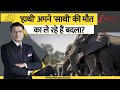DNA: क्या बेजुबान जानवर भी बदला लेते हैं? Elephant Accident | Zee News