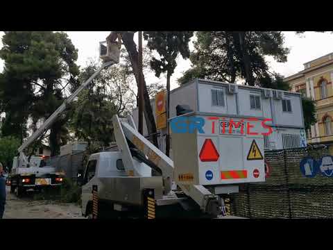 Πτώση δέντρου Θεσσαλονίκη - GRTimes.gr