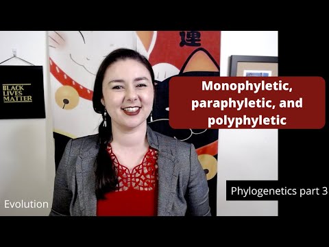 Monophyletic, paraphyletic, and polyphyletic