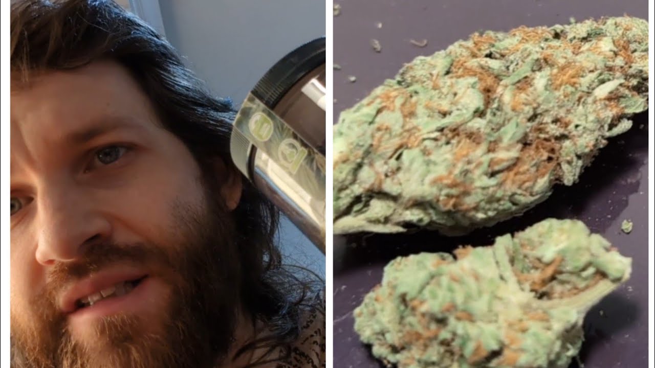 'Queens Gambit' Greenhouse flower review from thca small buds - online hemp with solid head buzz