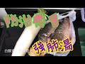 《白蘿蔔鯽魚湯》鮮甜美味 強肺止咳 預防及治療感冒 👍🏻對抗肺炎 #FishSoup with radish