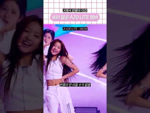 X에서 반응이 터진 보아 닮은 A20 LITE 멤버