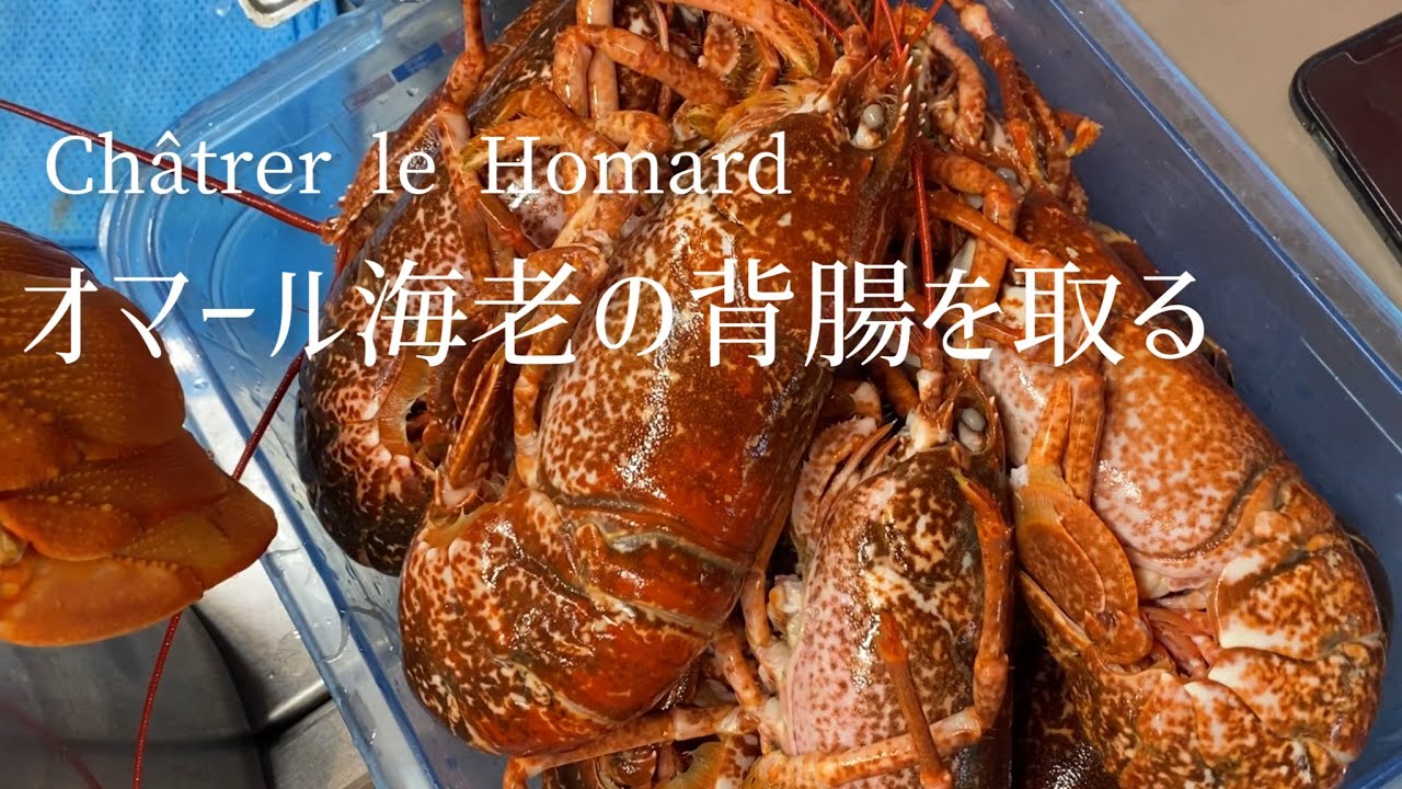 Châtrer le homard/Remove l 