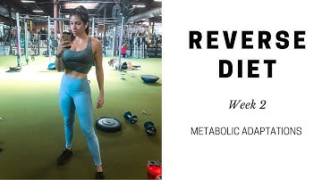 Reverse Diet Week 2 [Adaptations]
