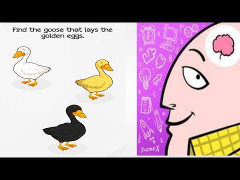 braindom level 133 find the goose that lays the golden eggs walkthrough solution