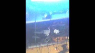 Xbox 360 slim open tray error