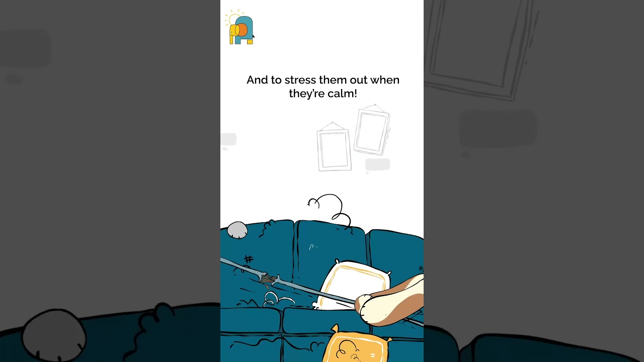 When Your Pet Runs the Show: Mischief & Love Moments ❤️