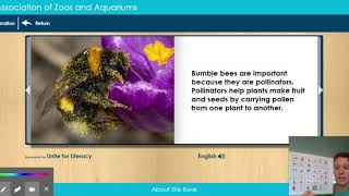 Busy Bumble Bees Interactive Story