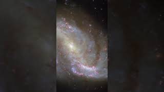 Hubble Captures the Dusty Heart of Spiral Galaxy NGC 7496