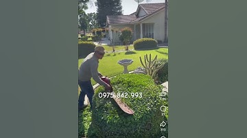 Máy cắt tỉa hàng rào ,cây cảnh đốn chè chạy xăng Kamatsu 230 - ☎️0975842993