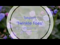 Twinkle Toes Lungwort | Walters Gardens Mp3 Song