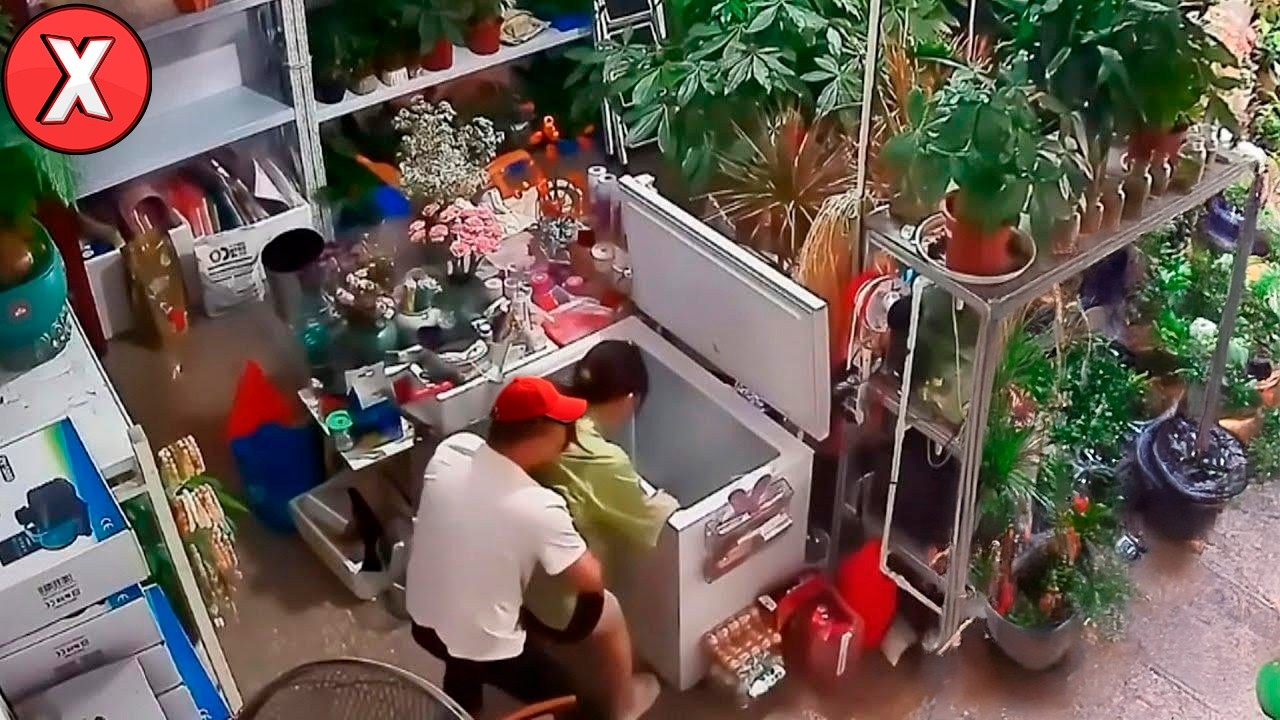 Você Pensaria Que Já Viu Tudo, Se Isso Não Tivesse Sido Filmado