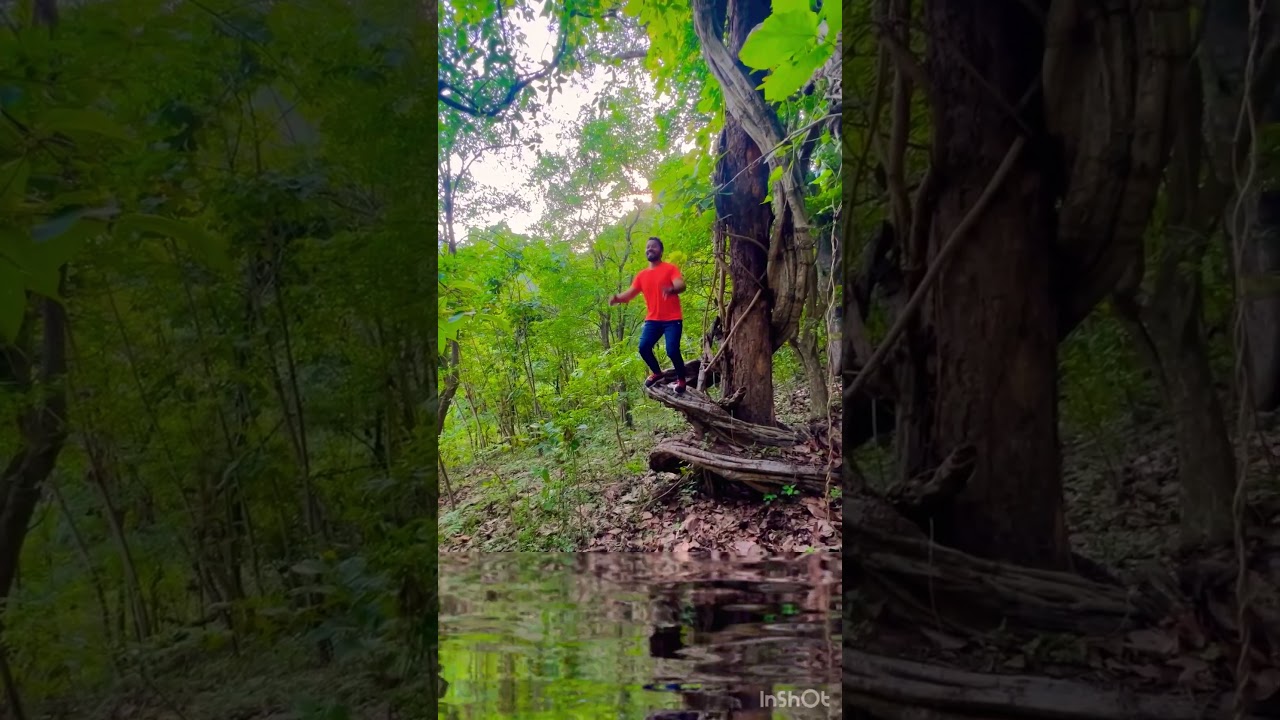 Yercaud Forest Trekking # 