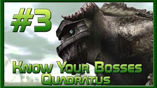Know Your Bosses - Quadratus (Shadow of Colossus) #3
